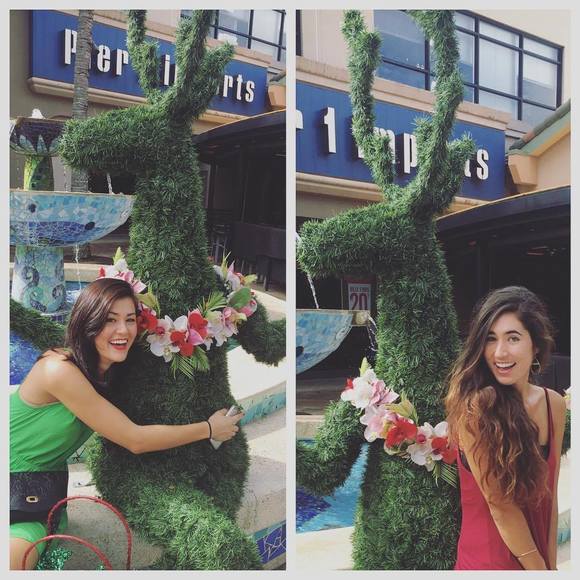 Meet your Posher, Kimberley - Picture 1 of 1